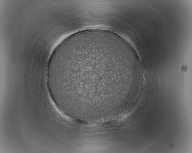 X0000111650989200908071403