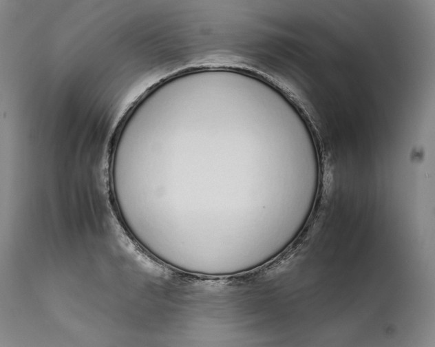X0000111650990200908071403