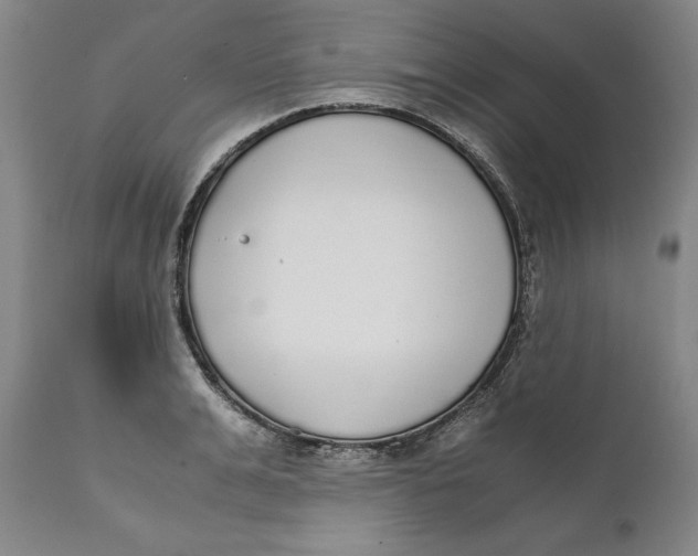 X0000111650991200908071403