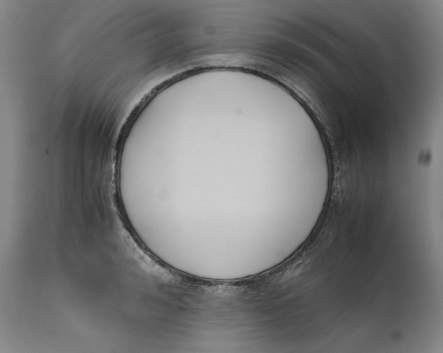 X0000111650992200908071403