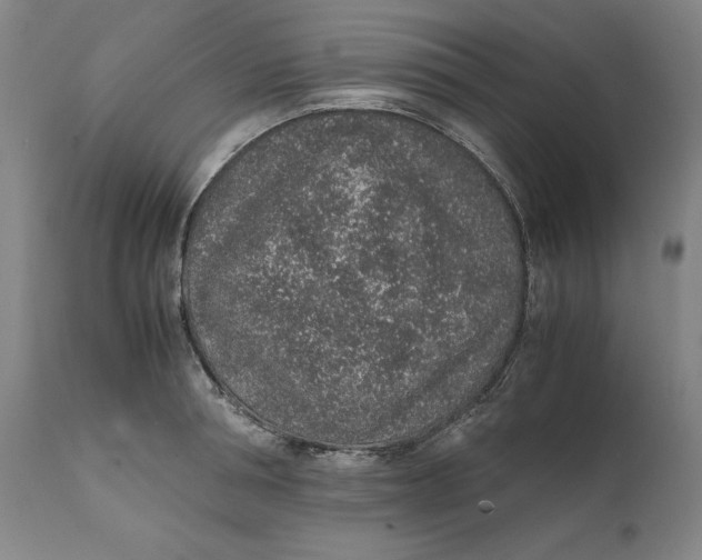 X0000111650994200908071403