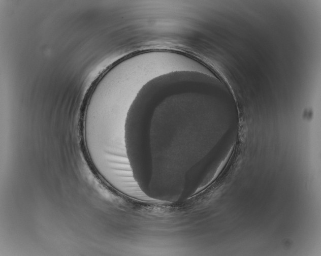 X0000111650995200908071403