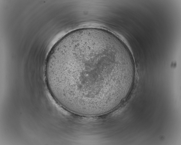 X0000111650997200908071403