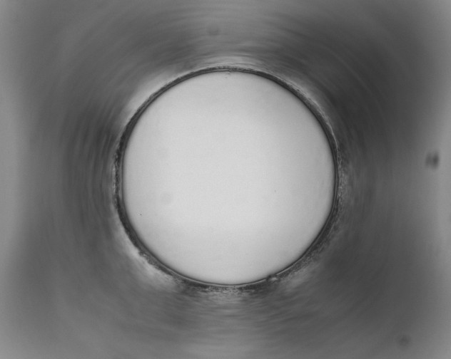 X0000111650999200908071403
