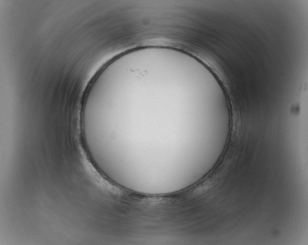 X0000111651000200908071403