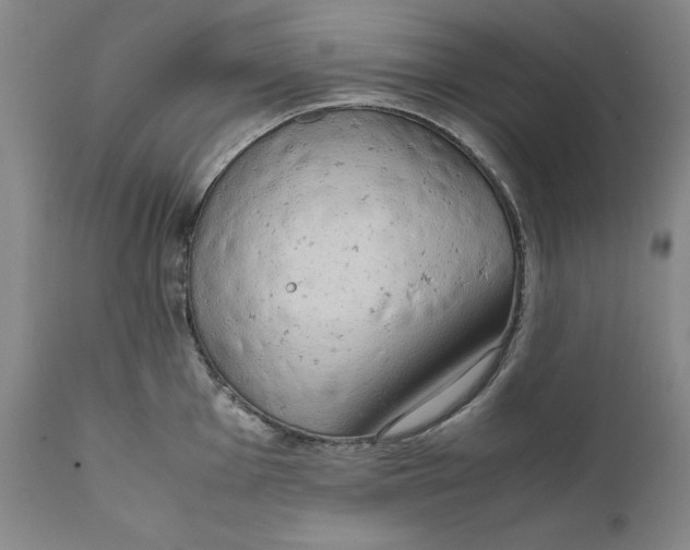 X0000111651001200908071403