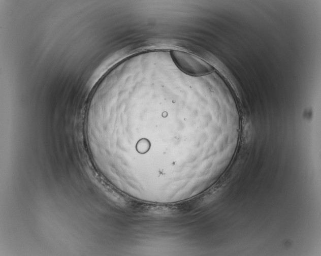 X0000111651002200908071403