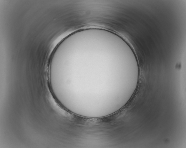 X0000111651003200908071403