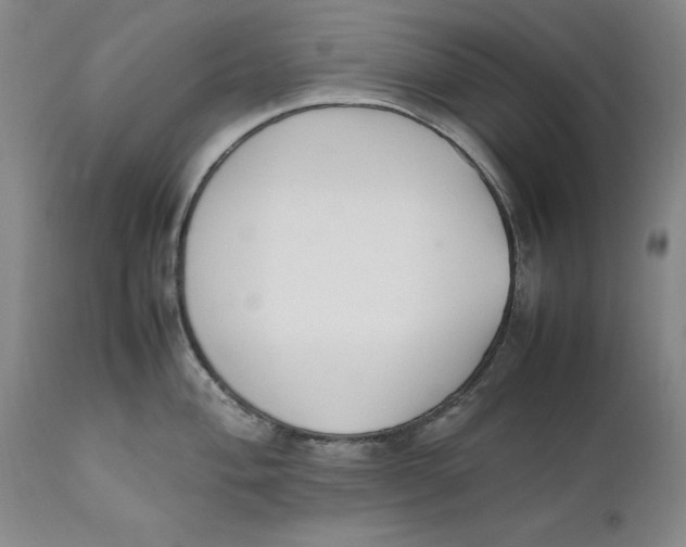 X0000111651004200908071403