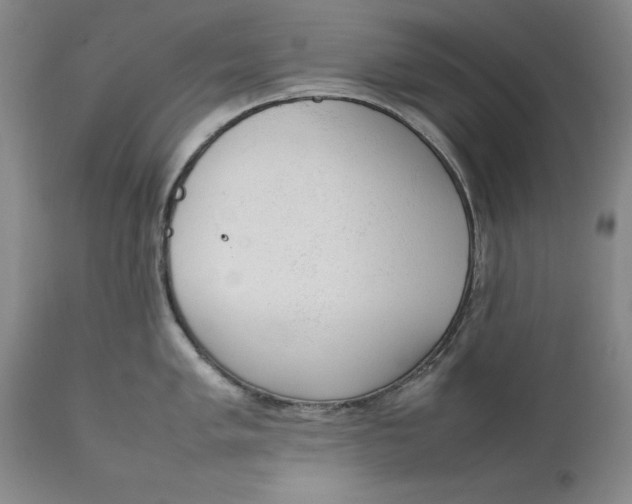 X0000111651005200908071403