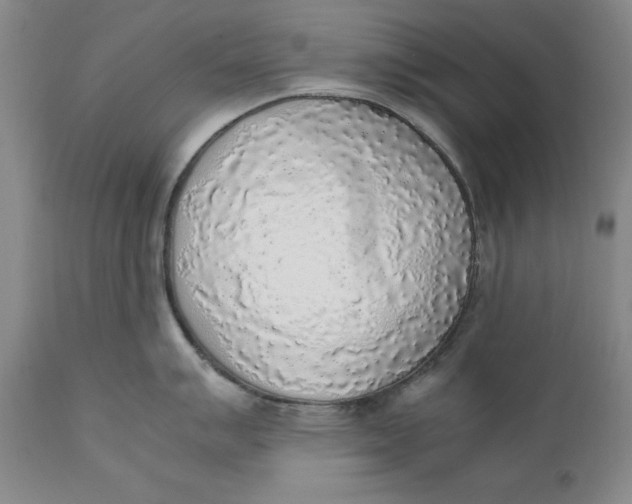 X0000111651007200908071403