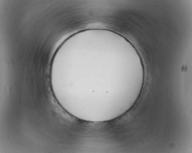 X0000111651008200908071403