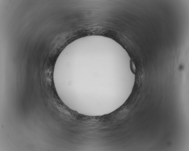 X0000111651010200908071402