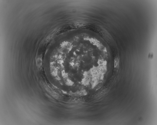 X0000111651011200908071402