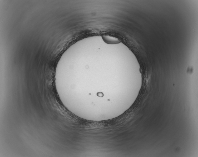 X0000111651012200908071402