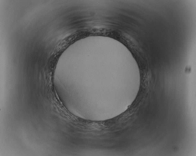 X0000111651013200908071402