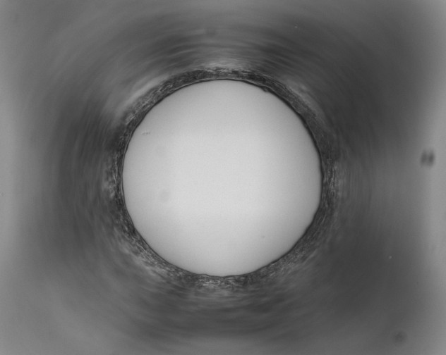 X0000111651015200908071402