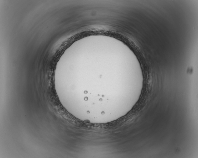 X0000111651016200908071402