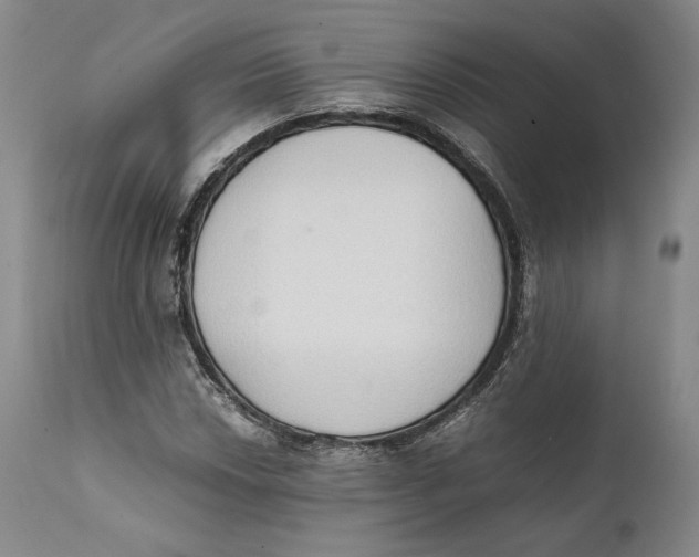 X0000111651018200908071402