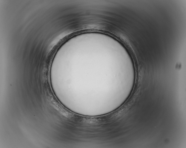 X0000111651019200908071402
