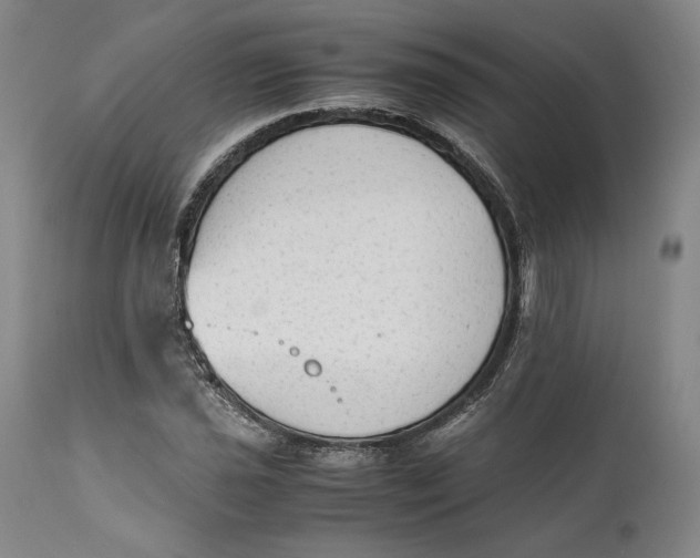 X0000111651021200908071402