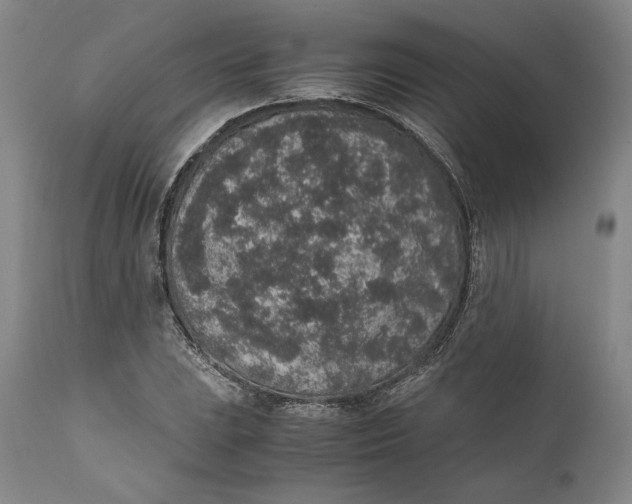 X0000111651023200908071402