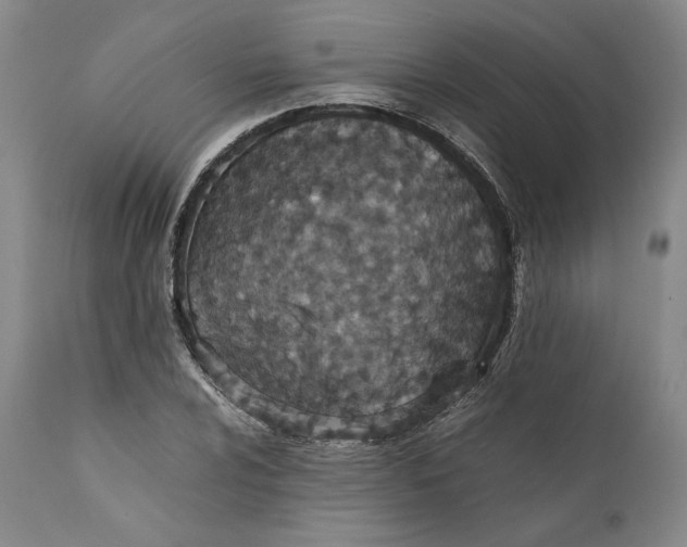 X0000111651024200908071402