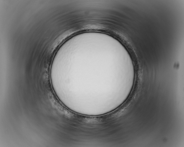 X0000111651025200908071402