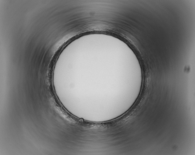 X0000111651026200908071402