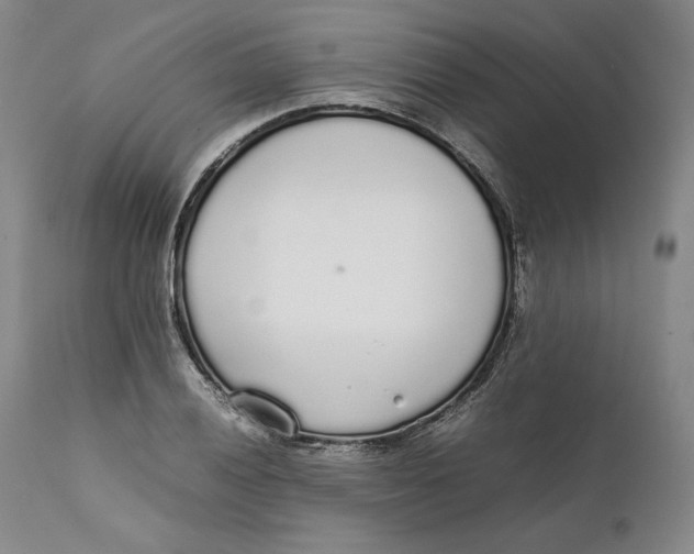X0000111651028200908071402