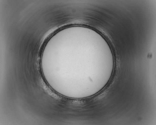 X0000111651029200908071402