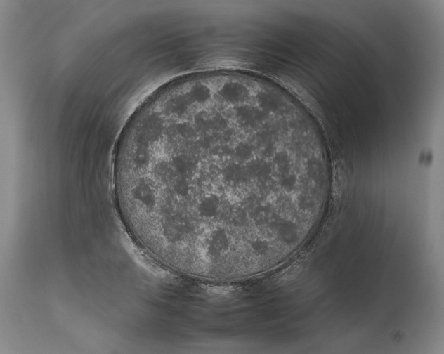X0000111651031200908071402