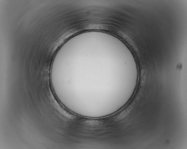 X0000111651033200908071402
