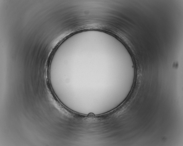 X0000111651034200908071402