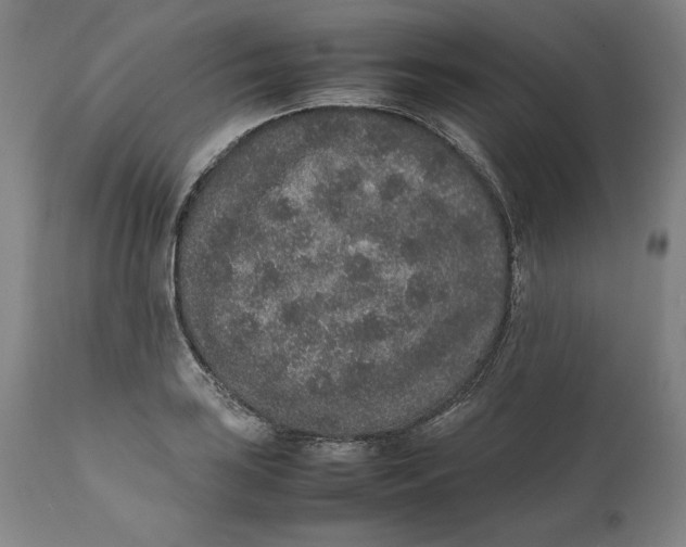 X0000111651035200908071402