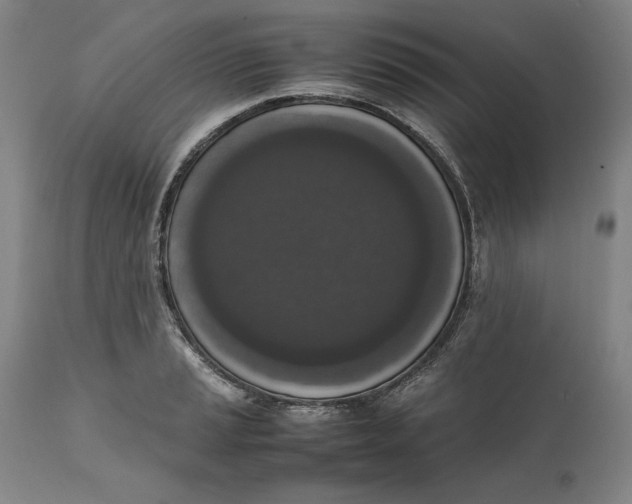 X0000111651037200908071402