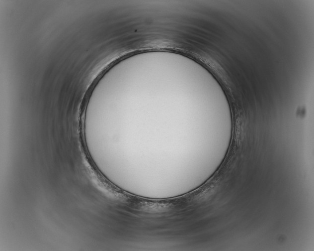 X0000111651039200908071402