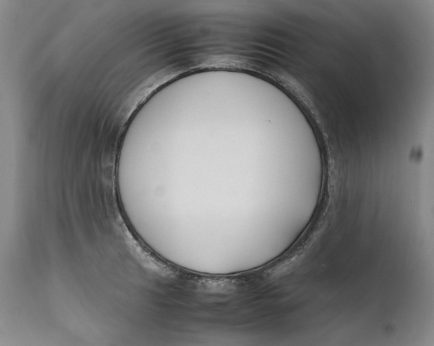 X0000111651041200908071402