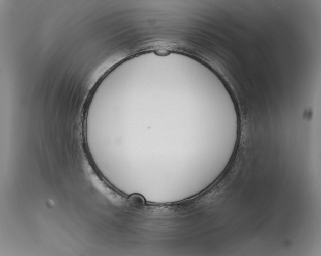 X0000111651042200908071402