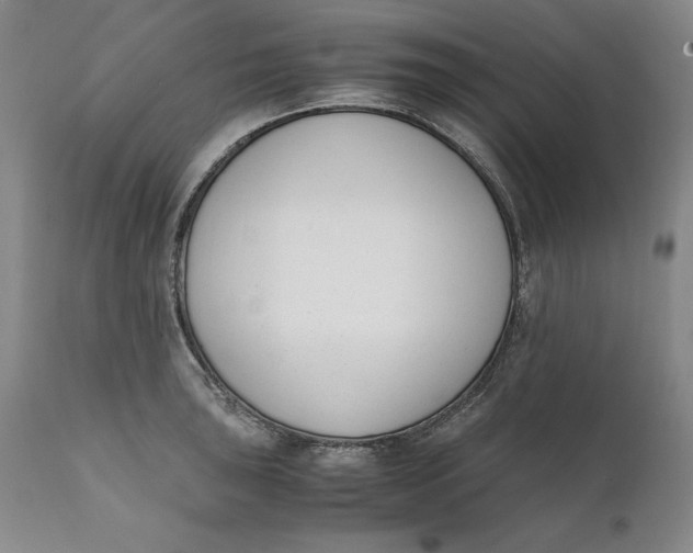 X0000111651043200908071403