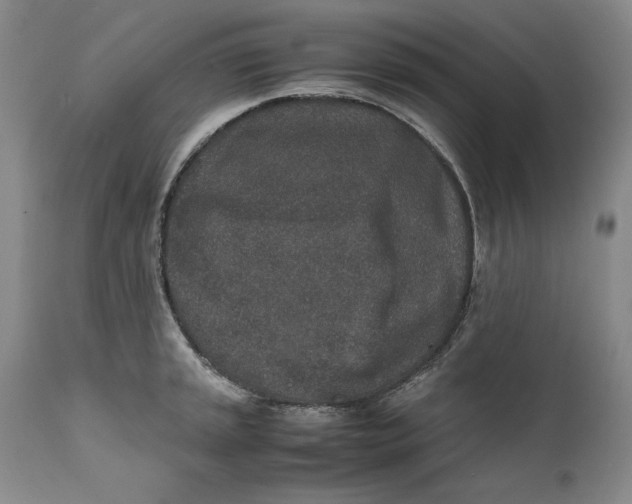X0000111651045200908071403
