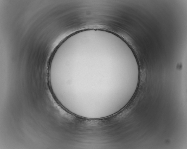 X0000111651046200908071403