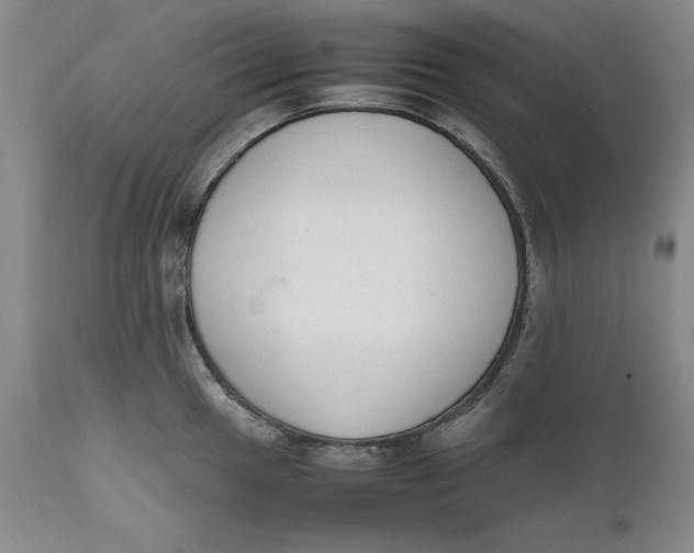 X0000111651049200908071403