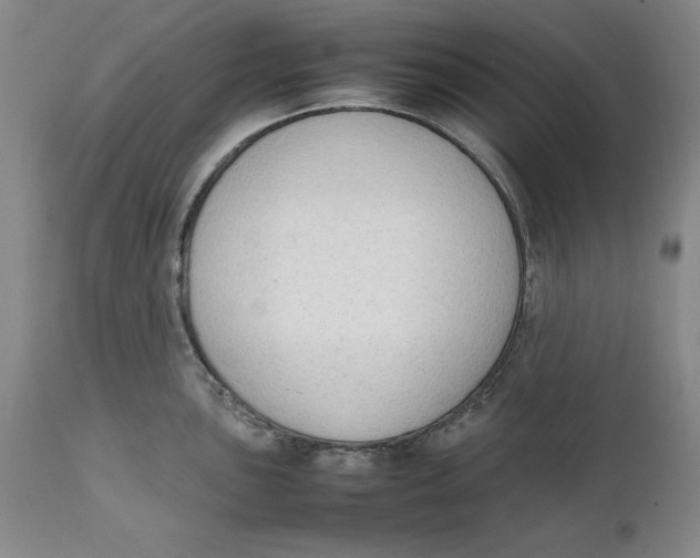 X0000111651051200908071403