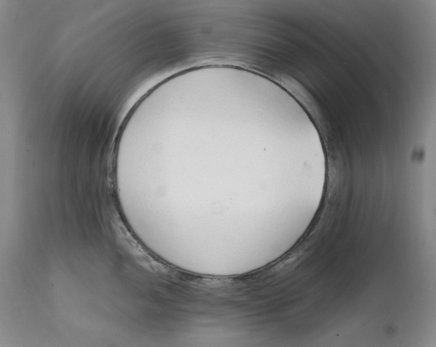 X0000111651052200908071403