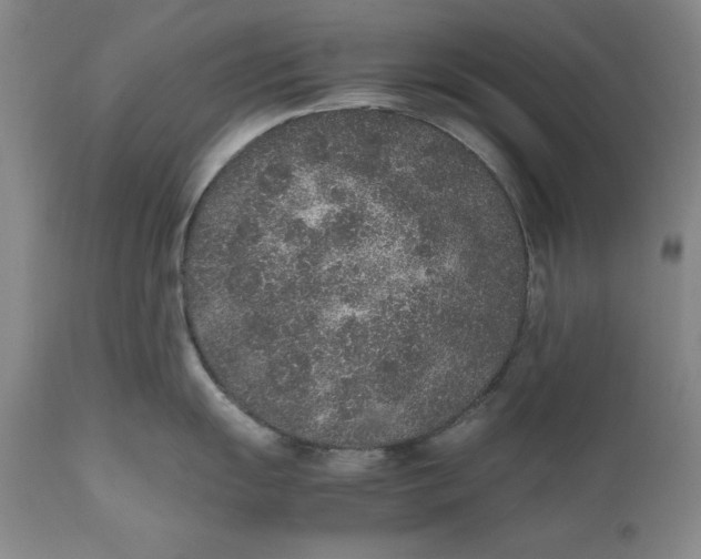 X0000111651055200908071403