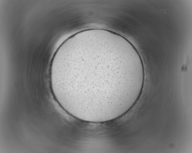 X0000111651056200908071403