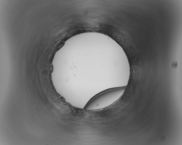 X0000111651057200908071402