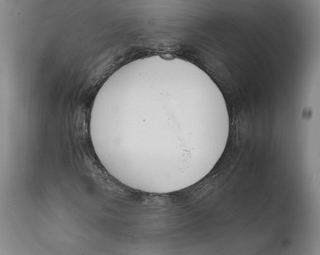 X0000111651058200908071402