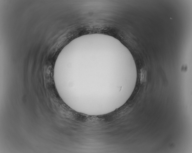X0000111651059200908071402